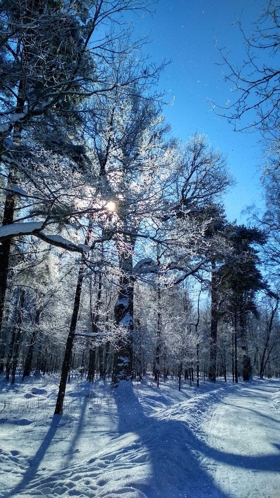 Photograph by Любовь Макарова