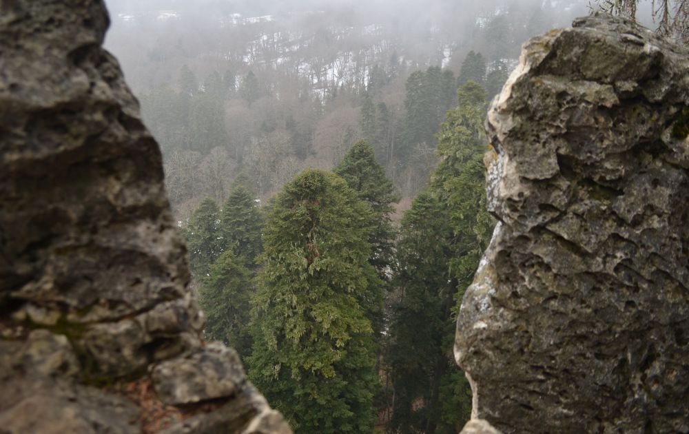 Красота России