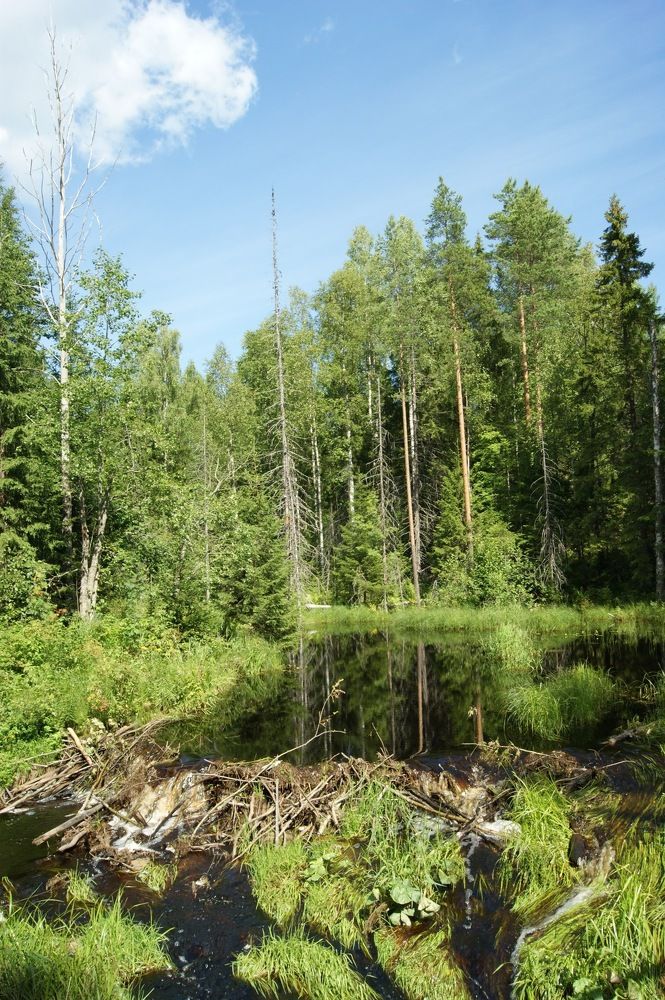 Петрозаводск
