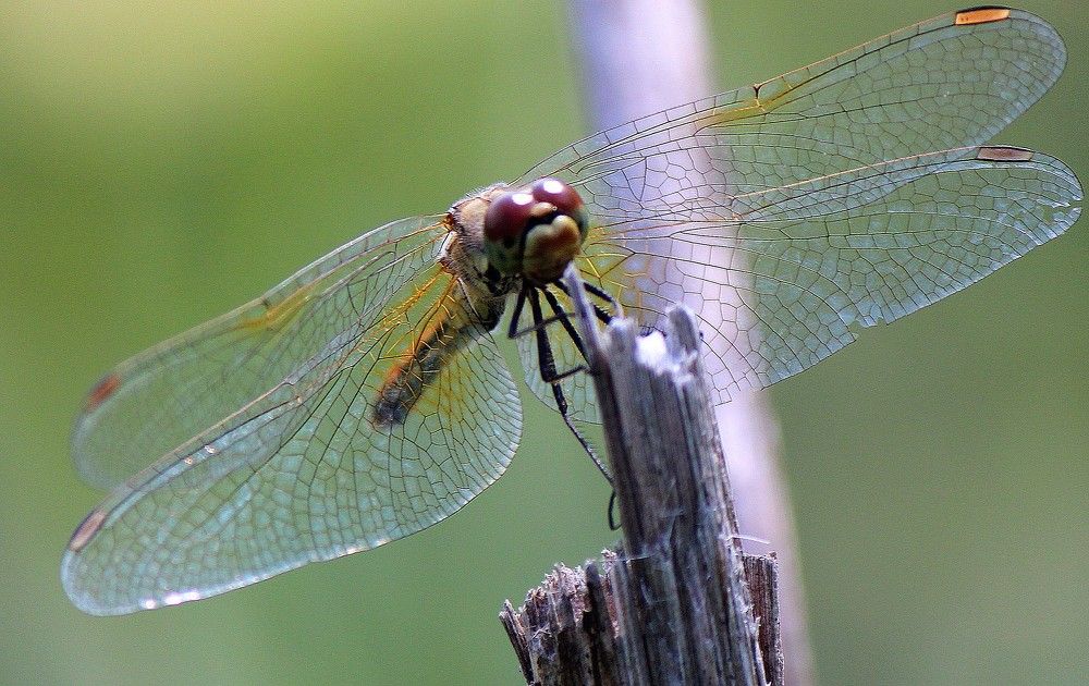 Photograph by Андрей Казанкин