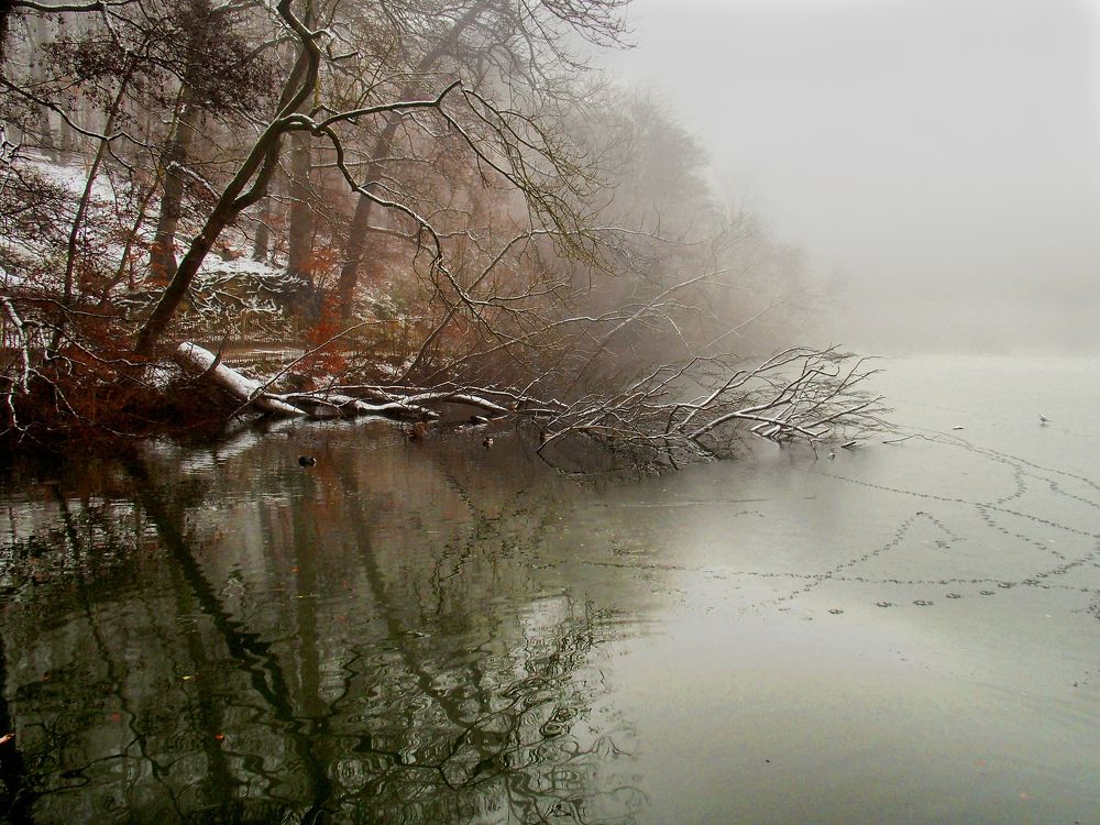 Sunrise in the Mist