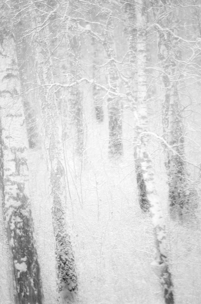 Bright Bright Day/белый белый день/