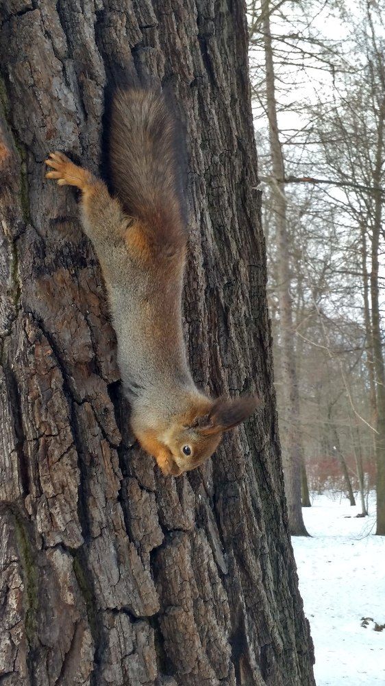 Photograph by Артём