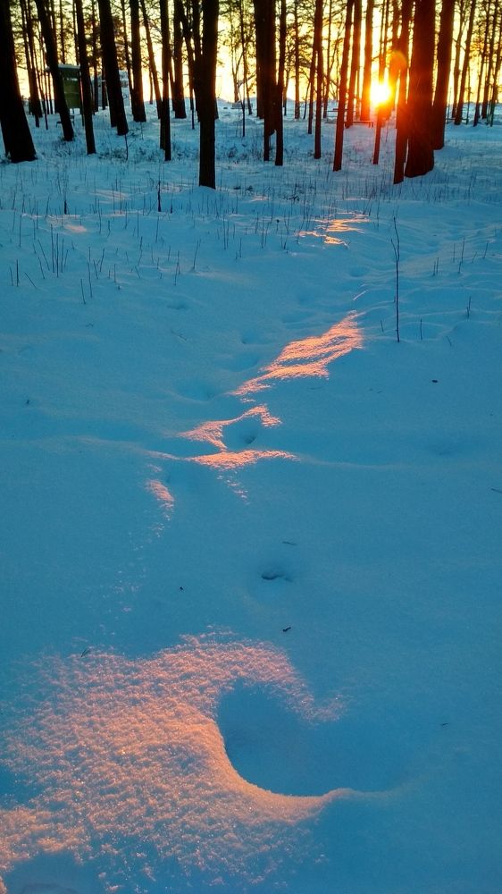 Photograph by Любовь Макарова