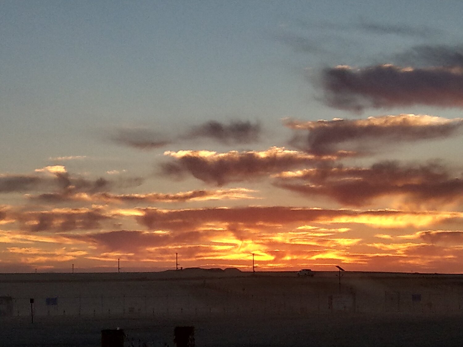Photo #2267753