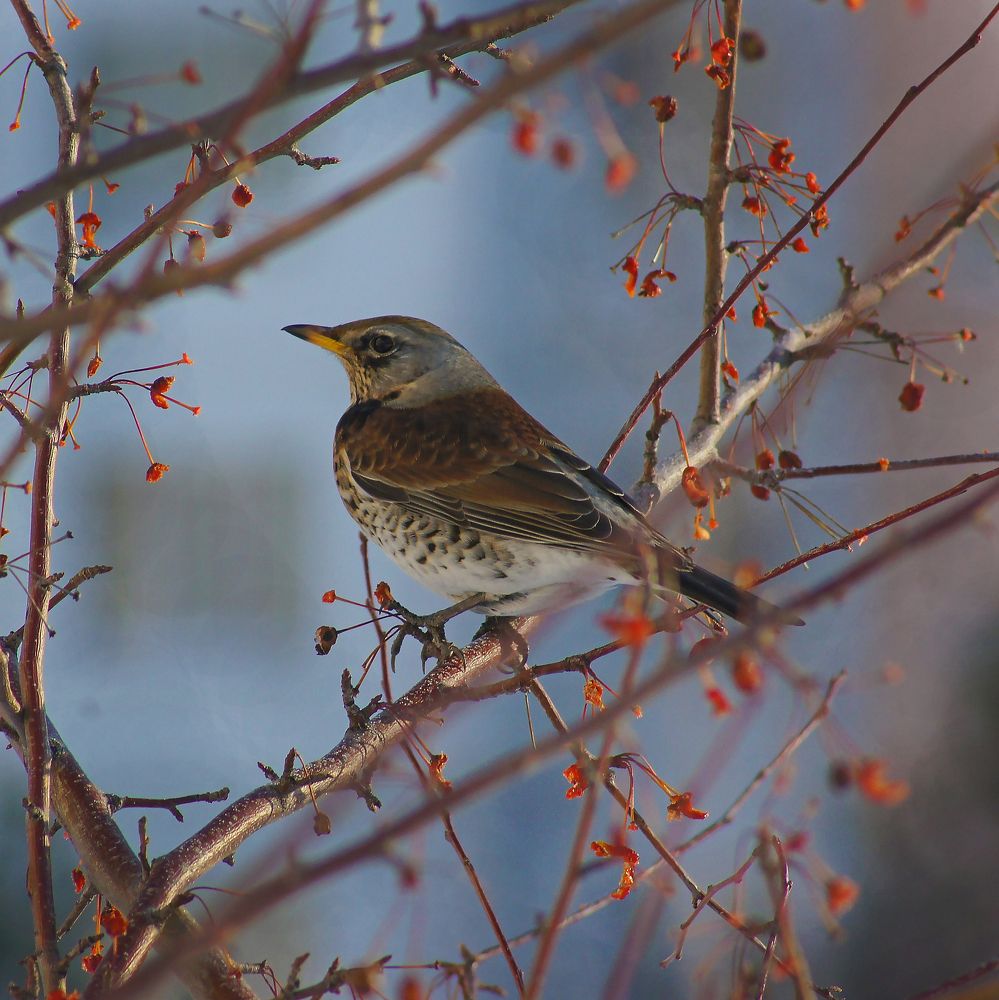 Photograph by Денис Жбир