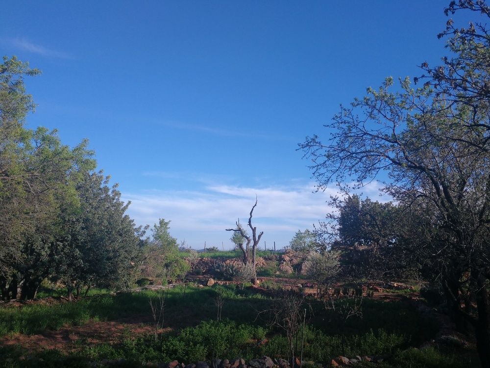 Spring coming