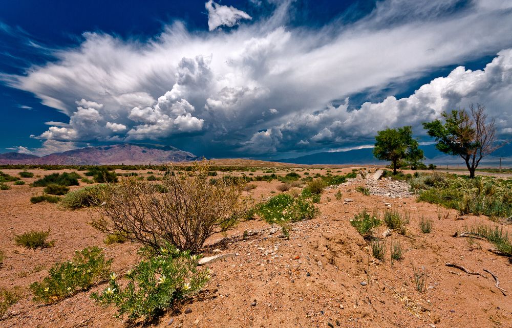 Photograph by Виктор Поляков