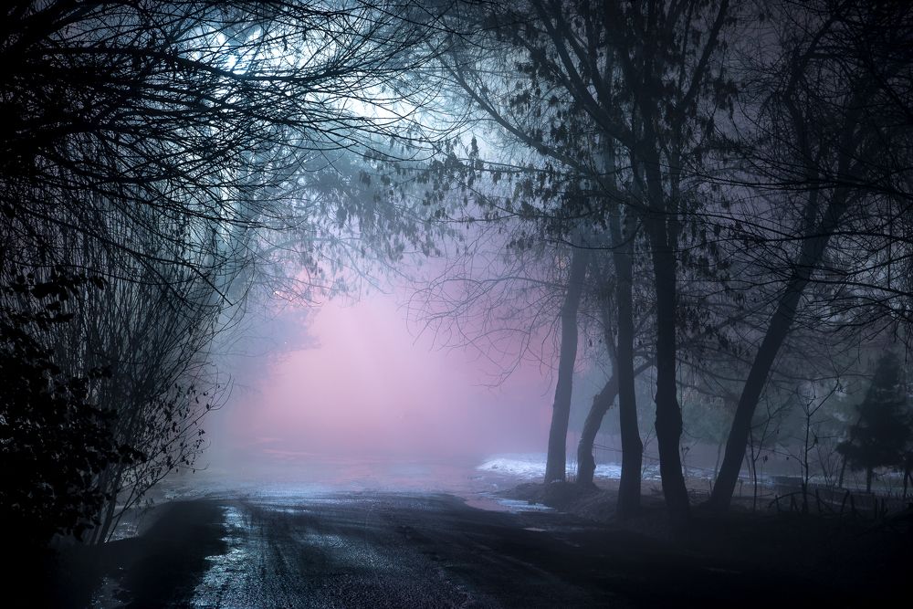 foggy night