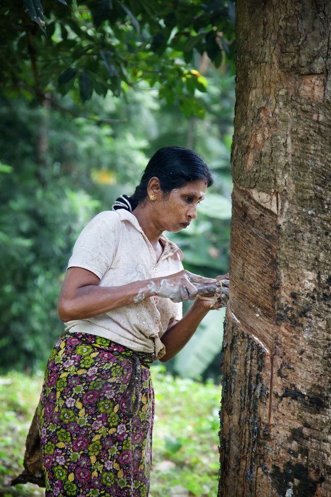 Рабочий процесс