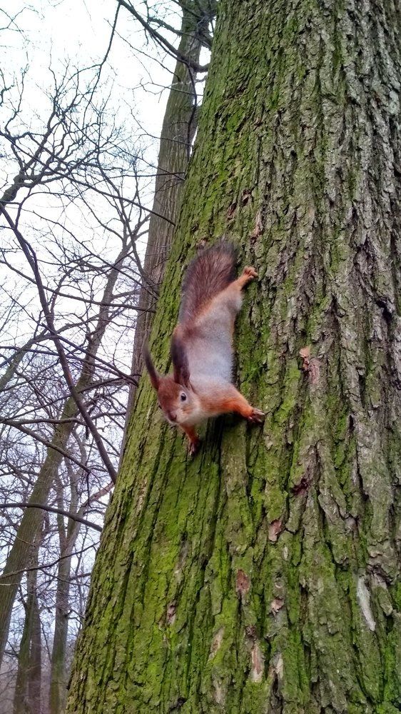 Photograph by Любовь Макарова