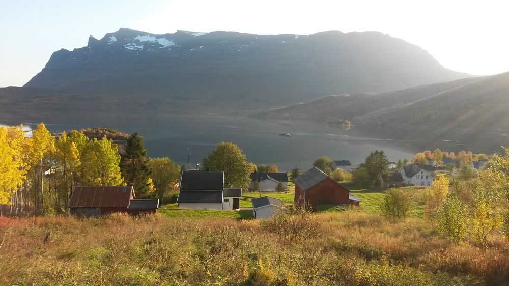 Местечко  Grovfjord, усадьба Løen.