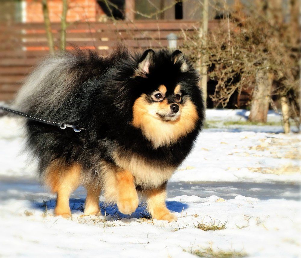 Аннетта или просто Нюша