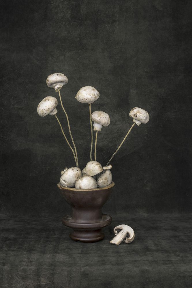 Букет грибов