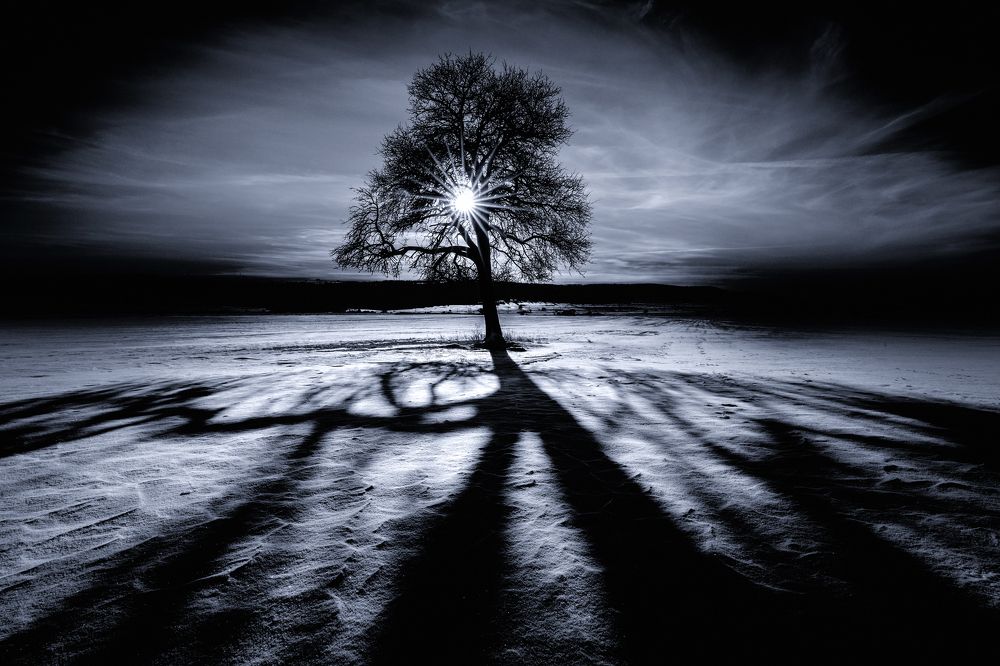 Photograph by Eddie Adamov