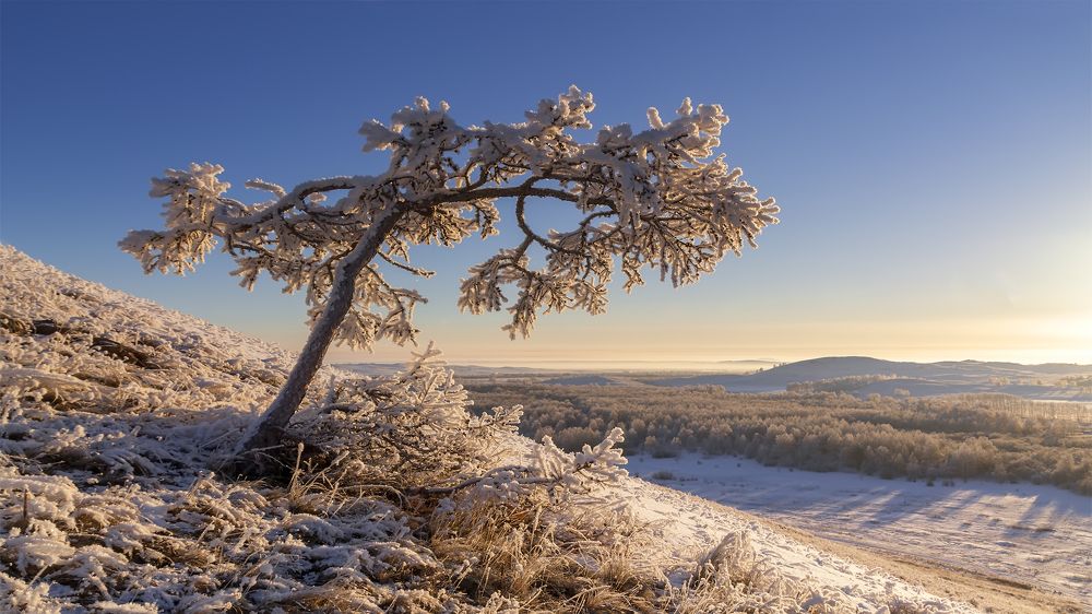 Тридцать градусов