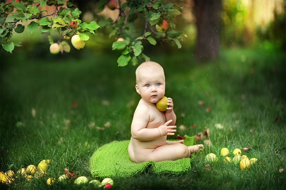 Осенний урожай