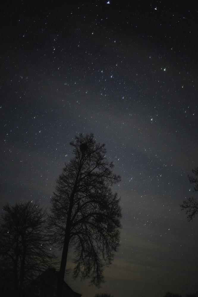 Photograph by Онипко Владимир