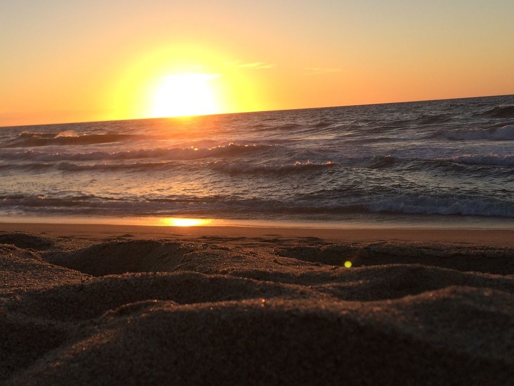 Photograph by Barbara