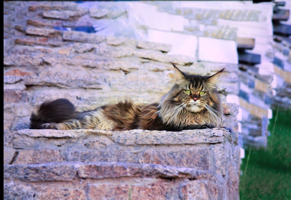 Photograph by Екатерина