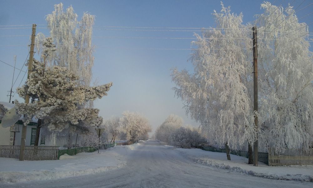 Очарование весеннего утра.