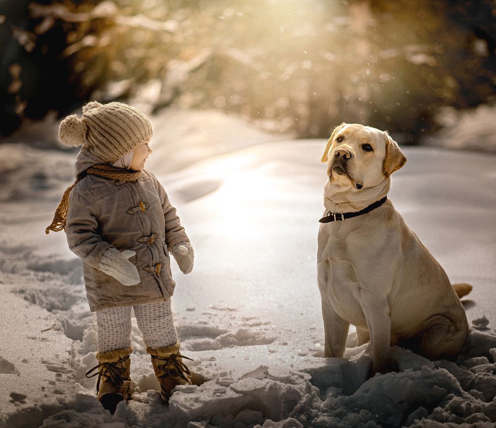 Большой друг