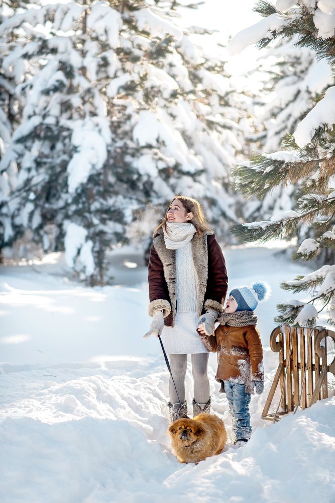 Зимняя прогулка