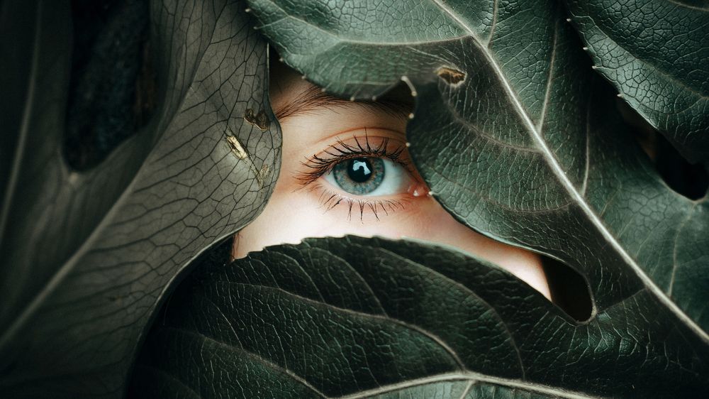 Photograph by Данил Прокопенко