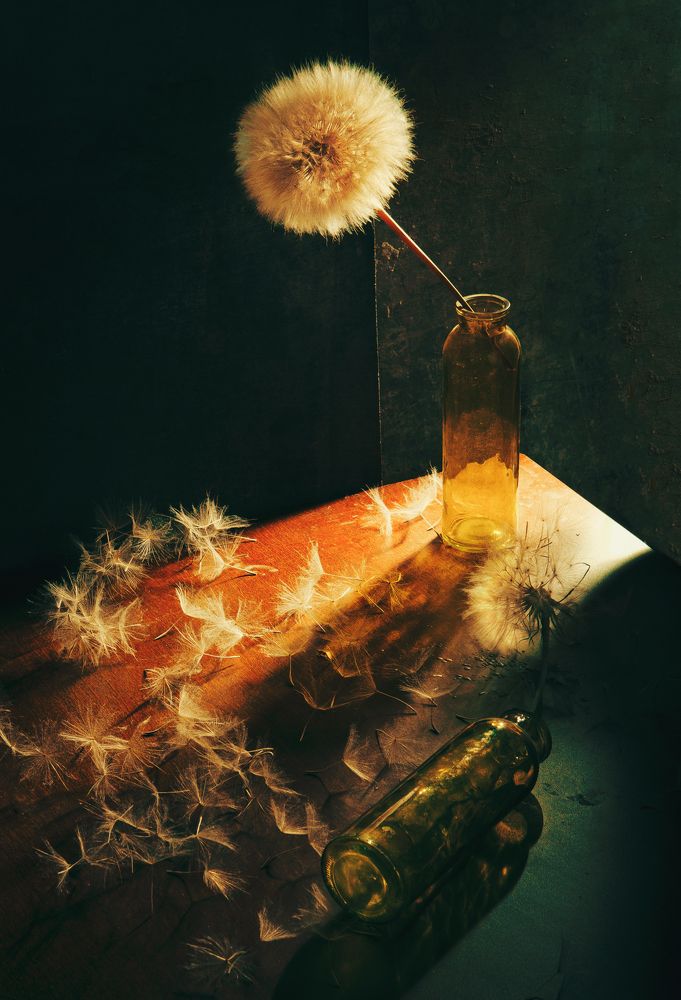 Воспоминания о лете