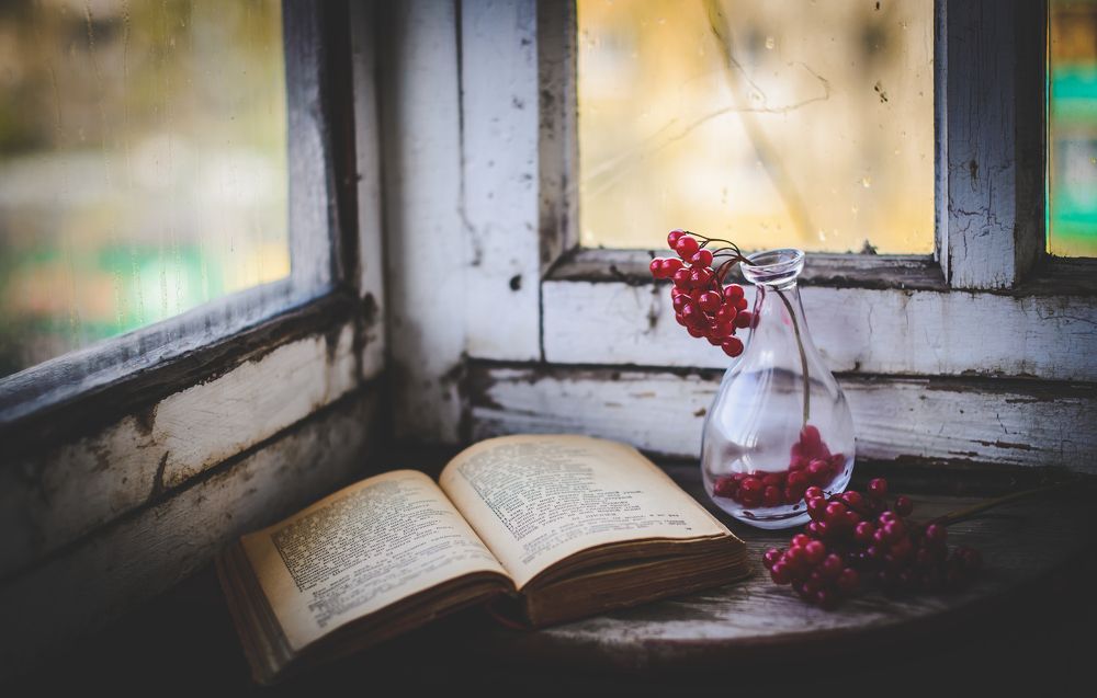 Калина красная