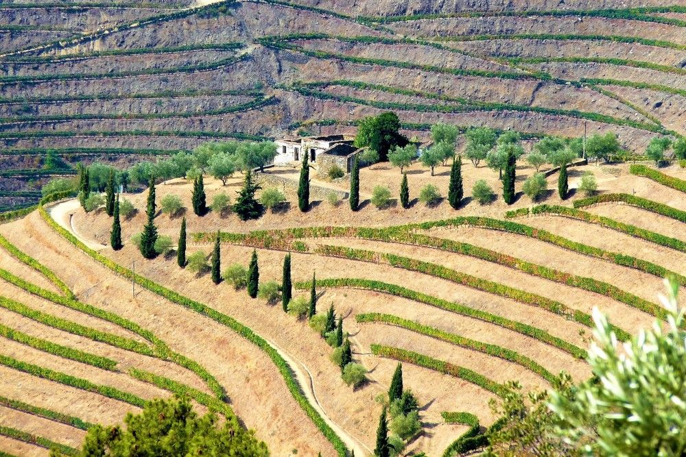 Photograph by Maria Silva