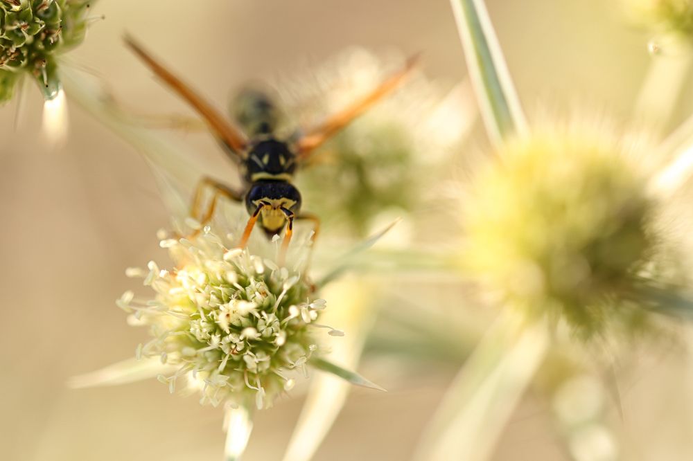 Before Autumn settles in