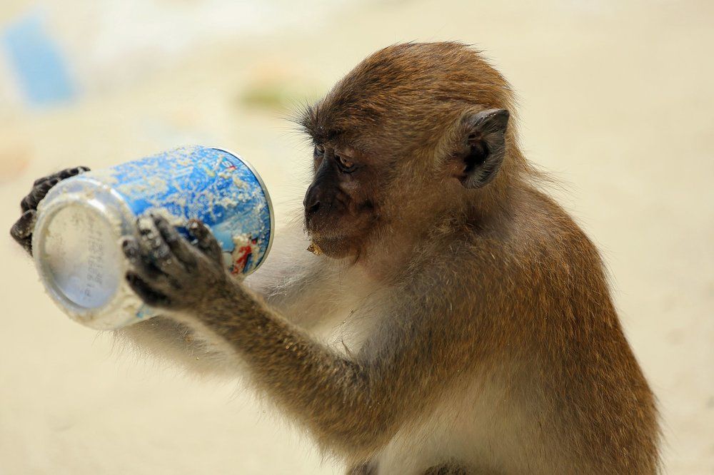 Новое поколение выбирает Pepsi