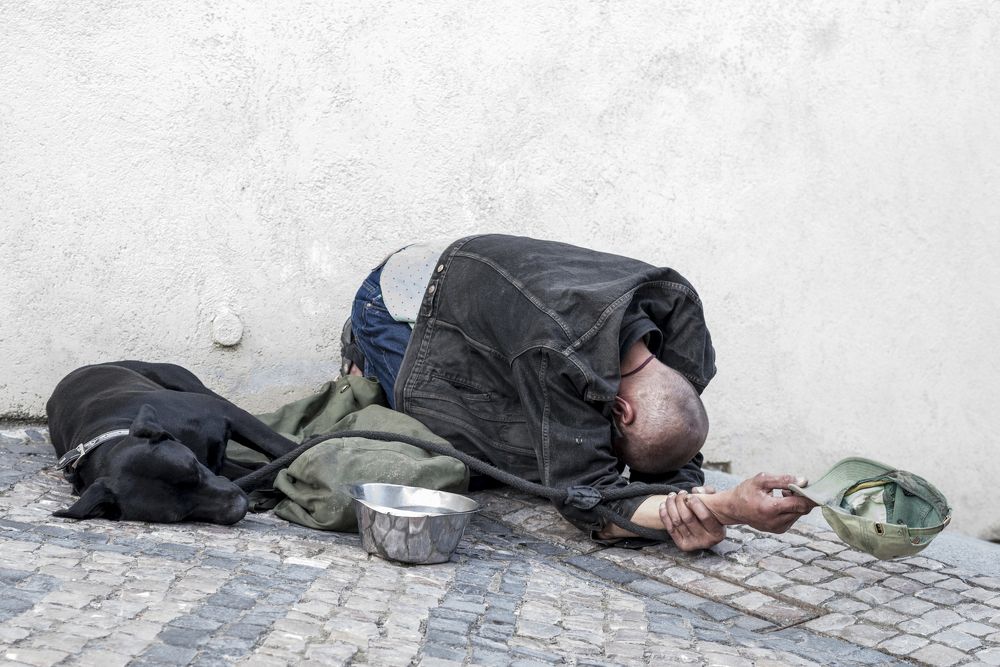 Проеданность