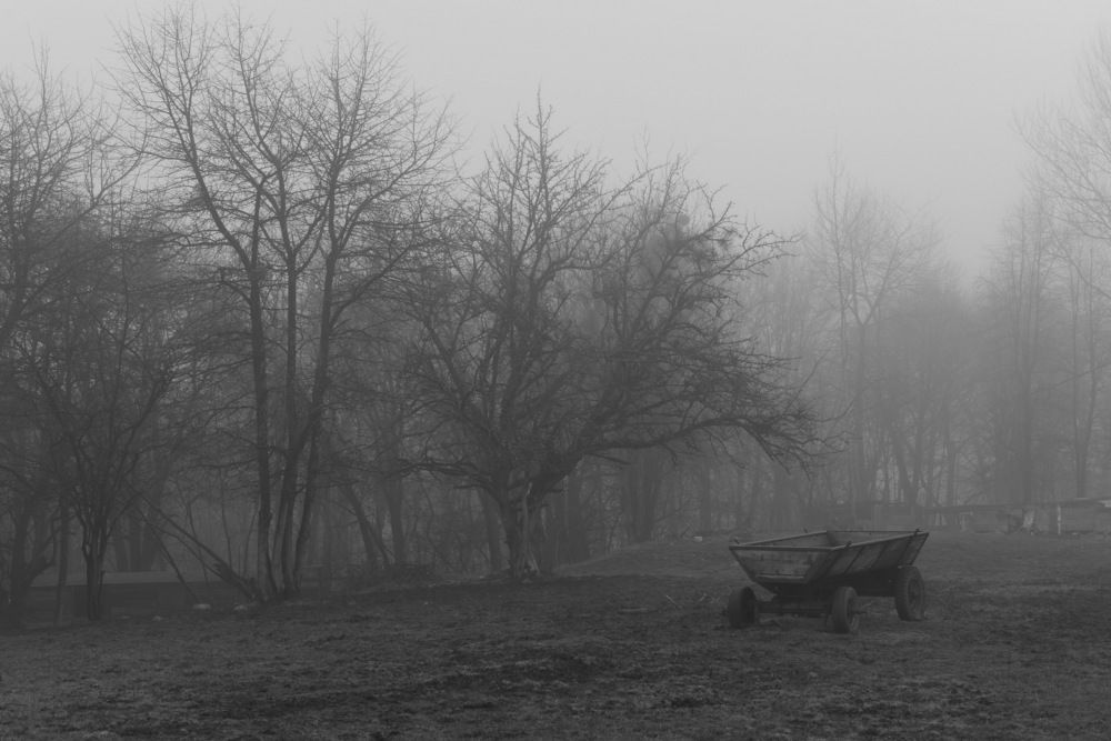 Туман.Тележка на краю села