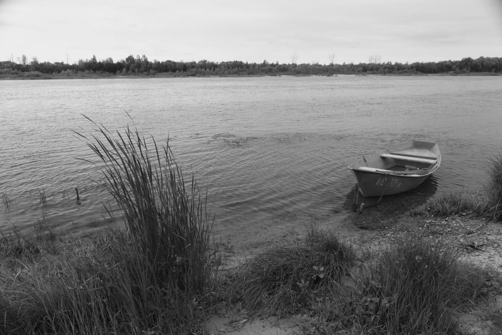 На Тихом Дону