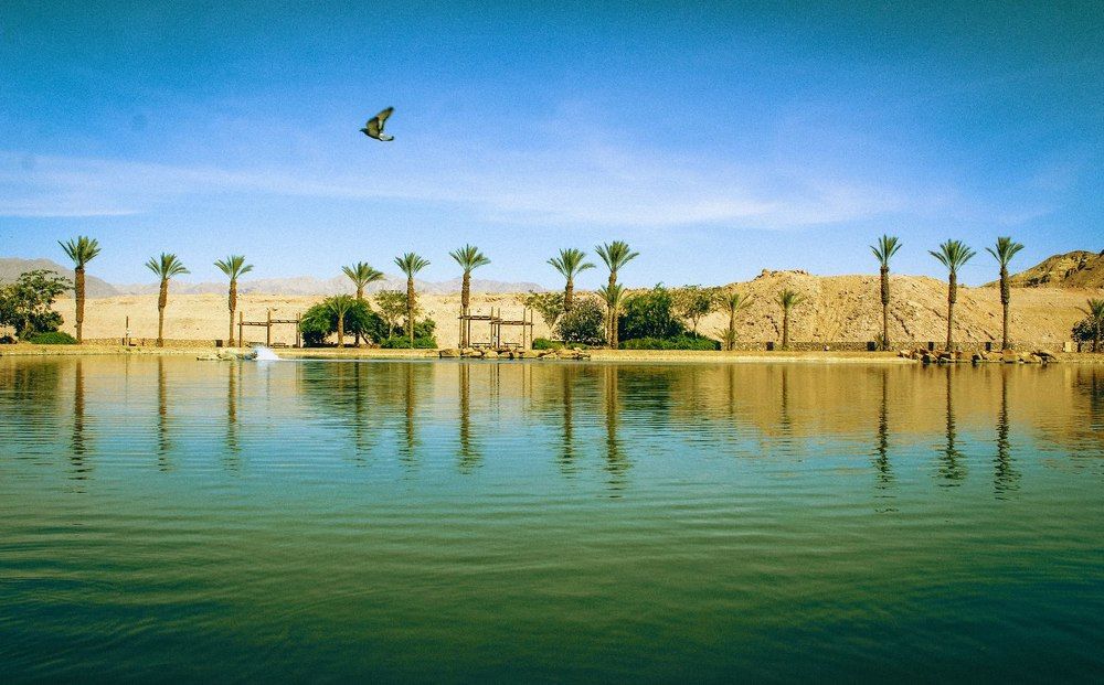 По пустыням Израиля...