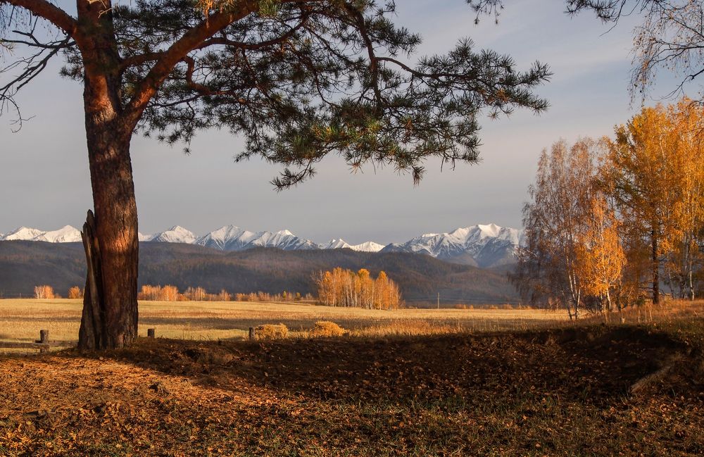 Осеннее утро