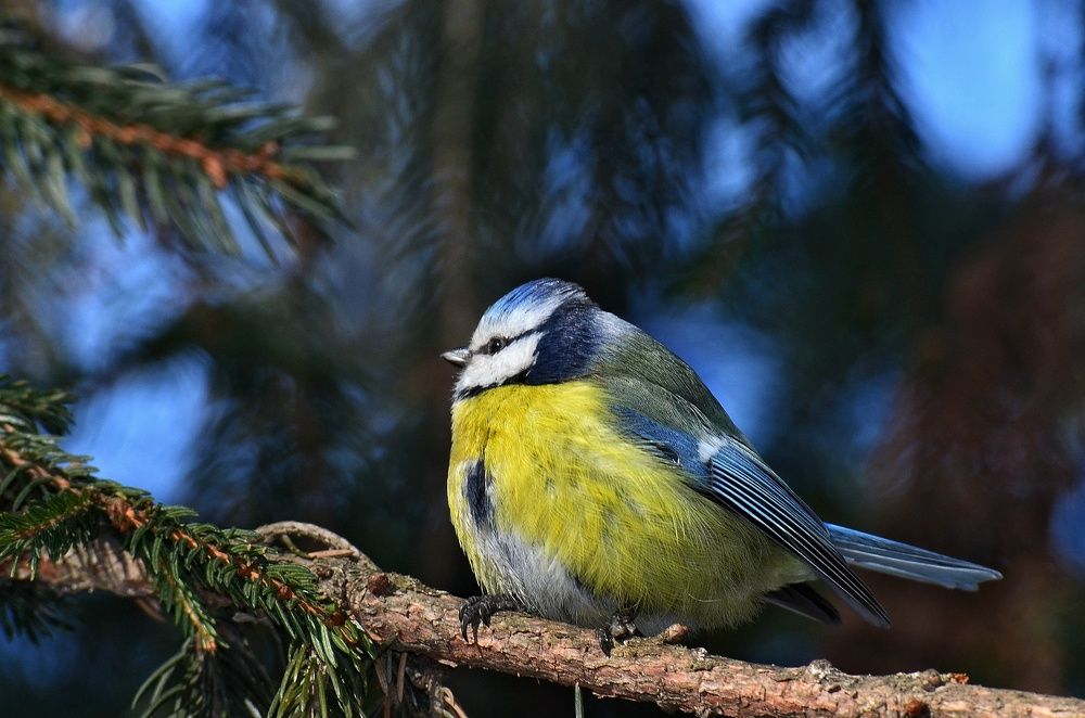 Photograph by Алексей Фомичев