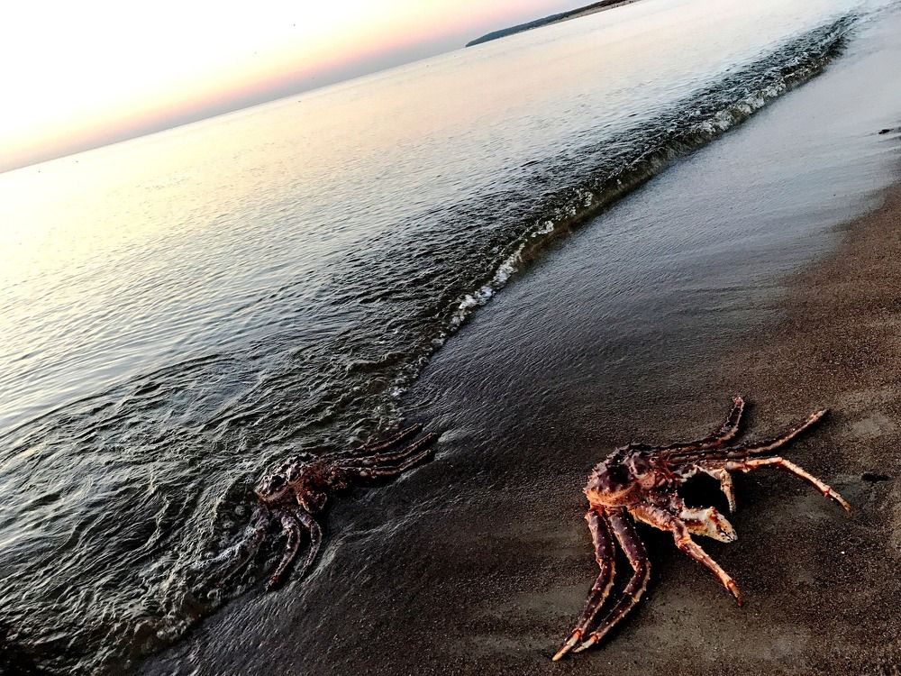 Photograph by Galina Baranovskaja