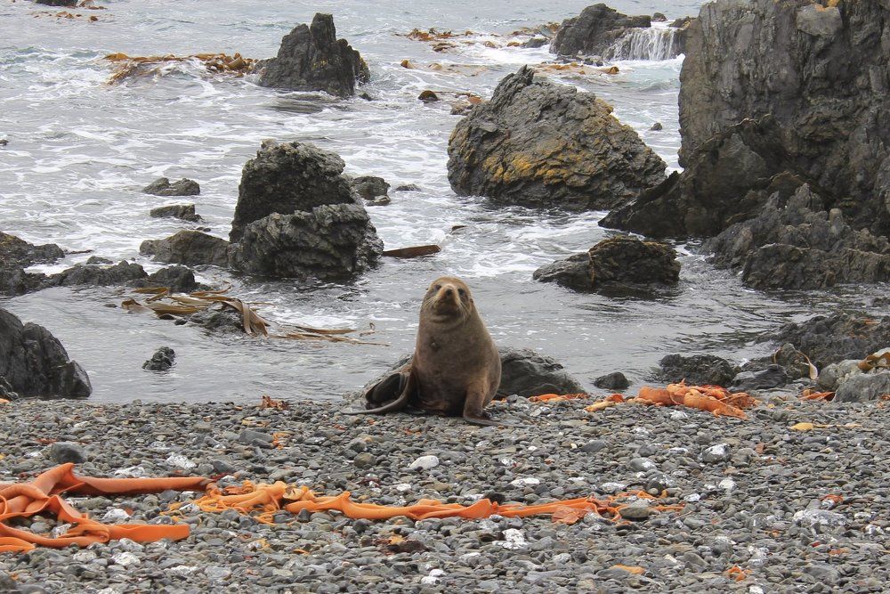 Такой я красавчик!