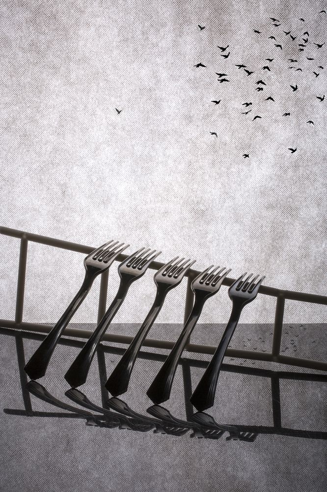 Грачи улетели