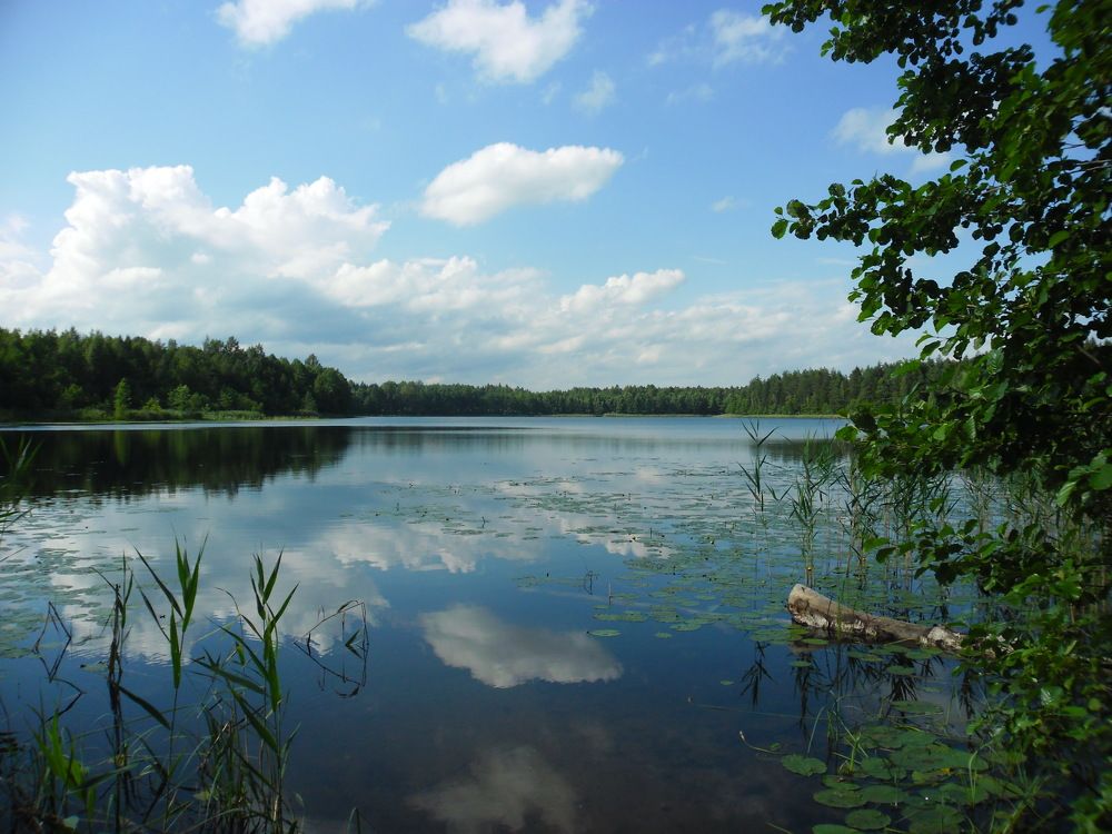 Тихое озеро
