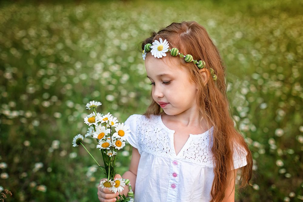 Ромашковое поле