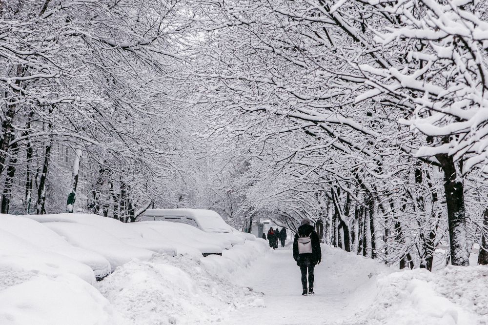 Photograph by Анастасия Хазова