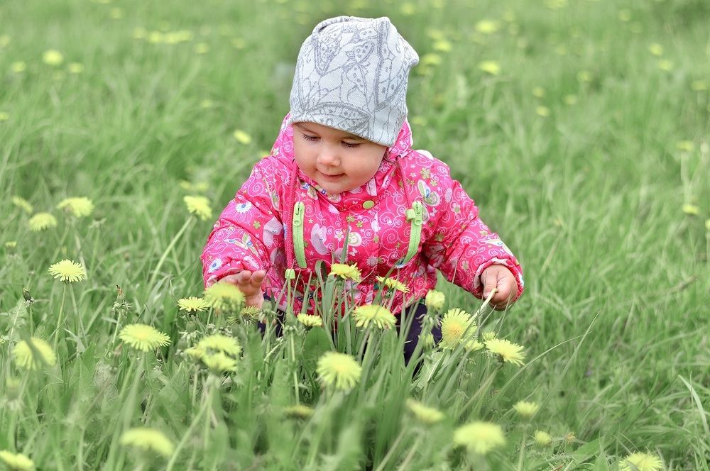 зеленая пора