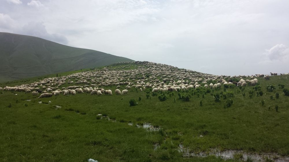 По пути в Гудаури
