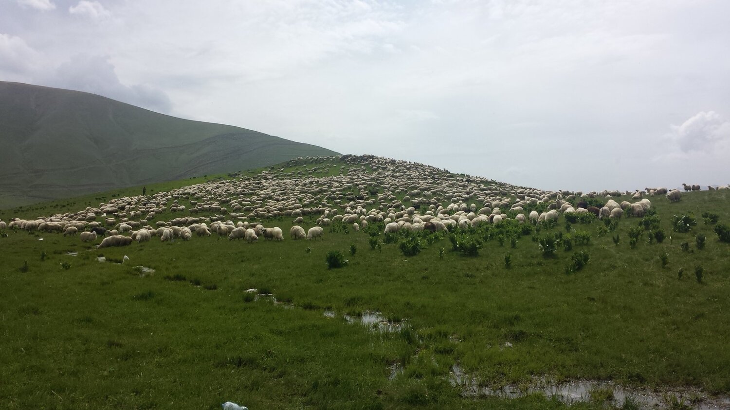 По пути в Гудаури