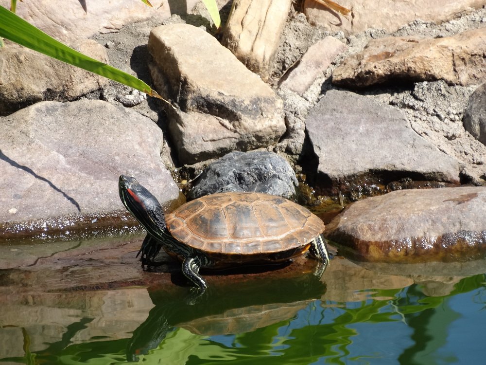 Где де выход?