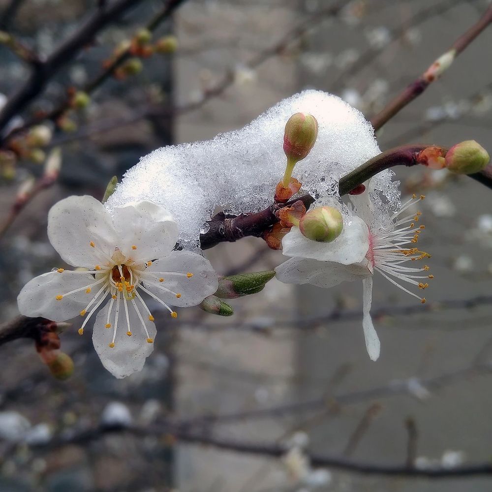 Крымчан ничем не испугать...
